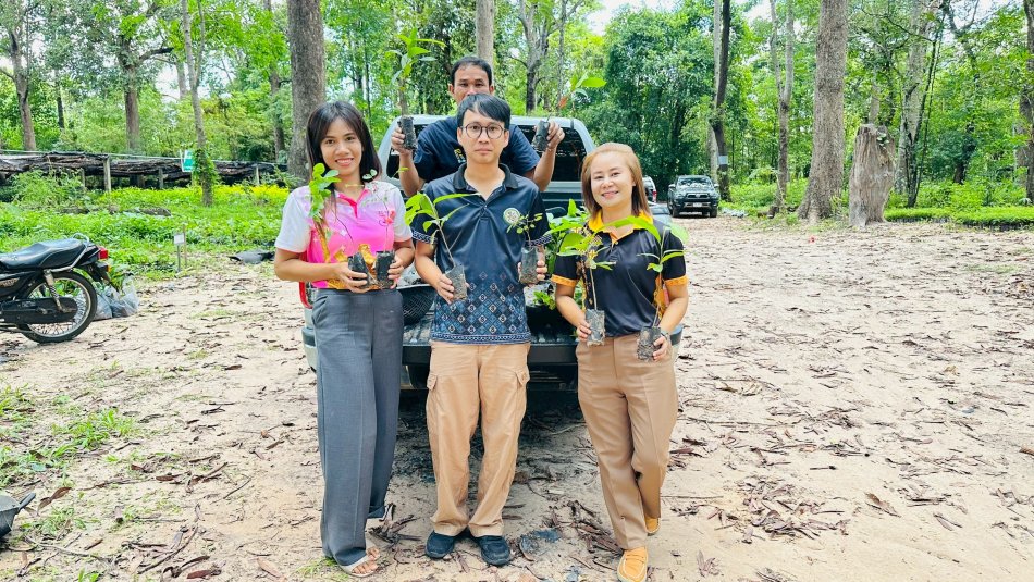 กิจกรรมรับต้นกล้าพันธุ์ไม้เพื่อใช้ในการจัดกิจกรรมปลูกต้นไม้เฉลิมพระเกียรติเนื่องในโอกาสพระราชพิธีมหามงคลเฉลิมพระชนมพรรษา  4 รอบ สมเด็จพระนางเจ้าฯ พระบรมราชินี 3 มิถุนายน 2569